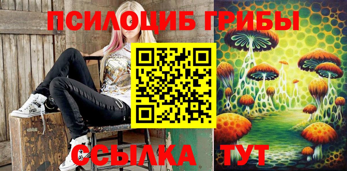 Псилоцибиновые грибы Psilocybe  Вход с VPN  Алейск 